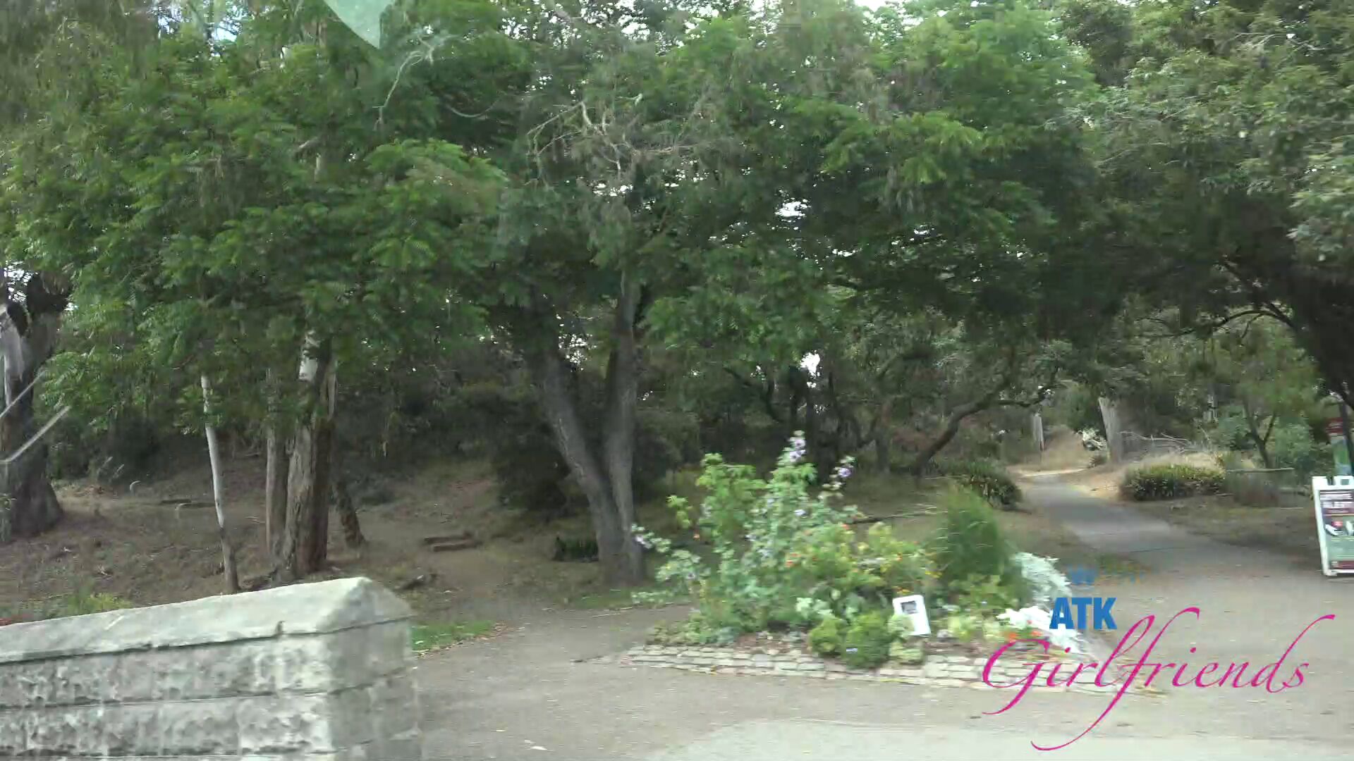 Windy POV
